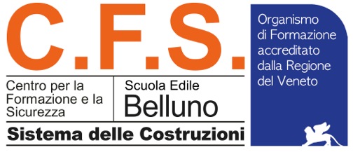 Logo CFS