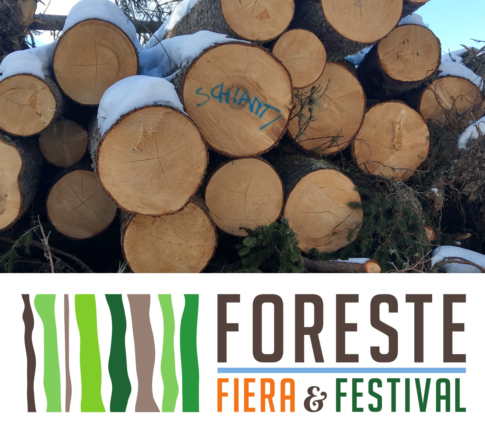 Fiera e Festival delle Foreste ad Agrimont
